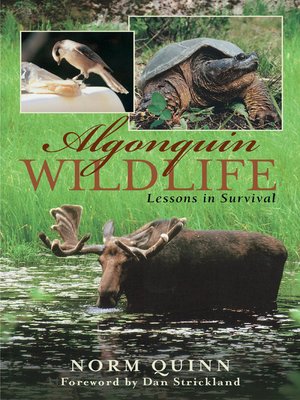 cover image of Algonquin Wildlife
